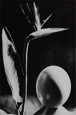 Man Ray